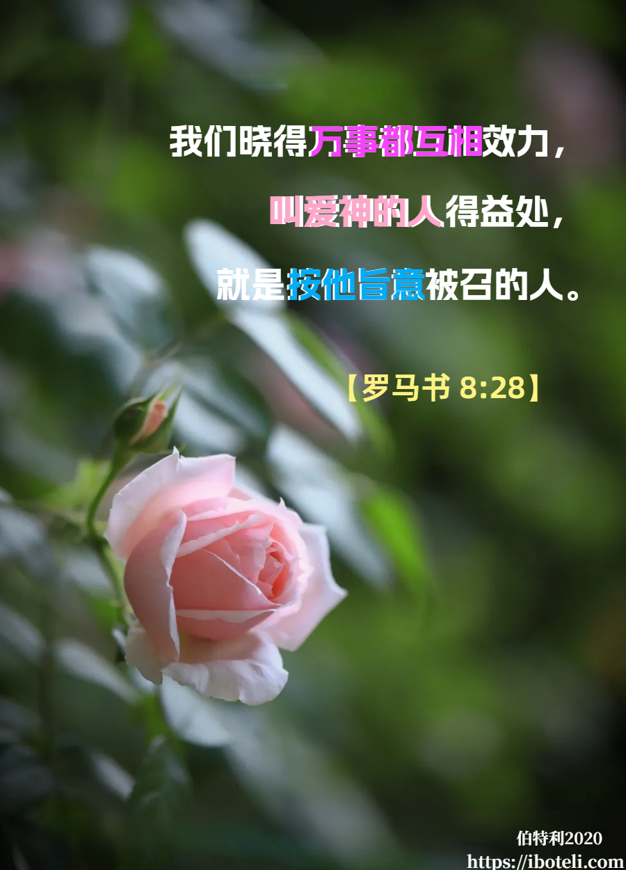 领会天父的心意（01）万事为你效力