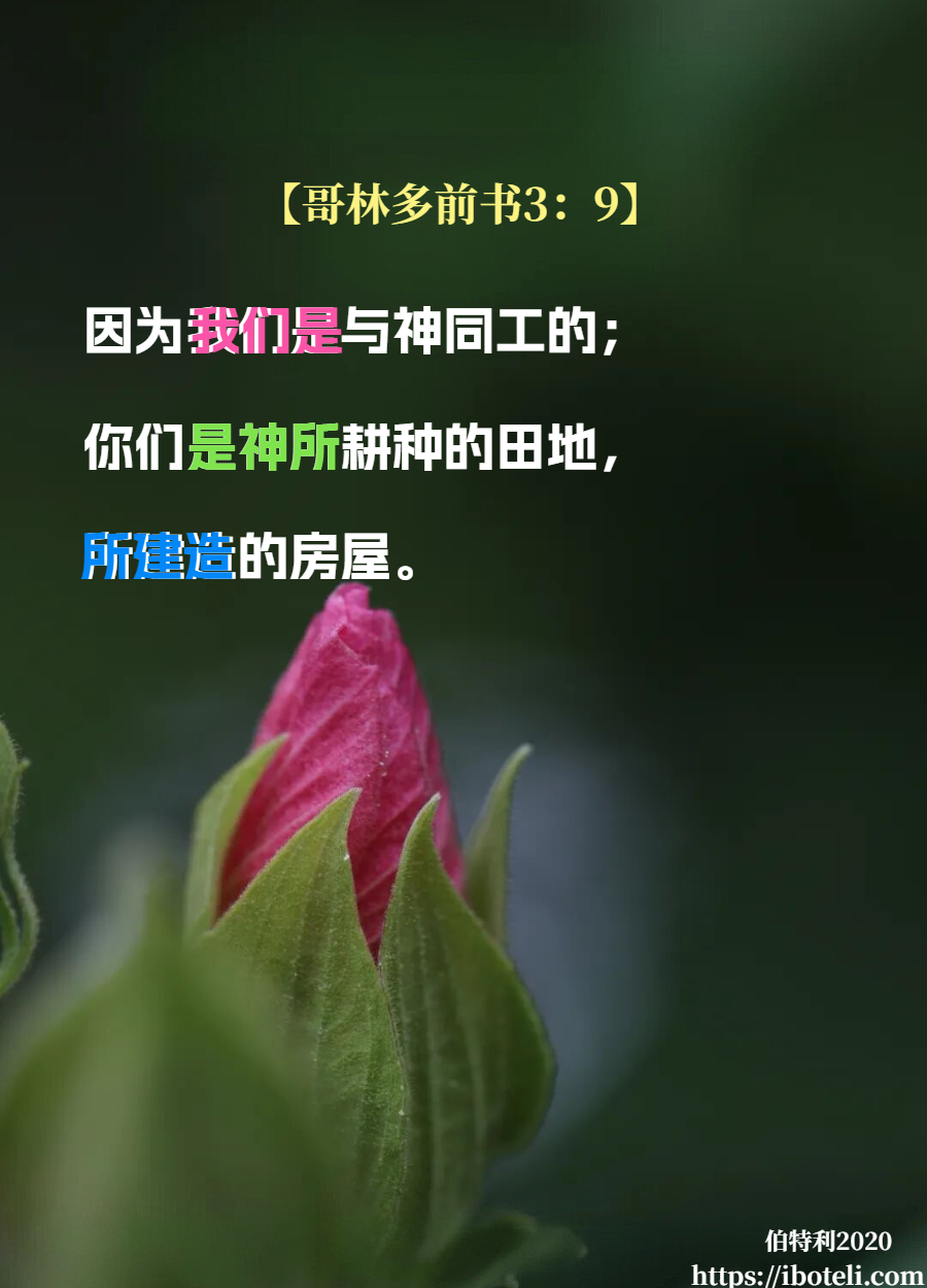 领会天父的心意（02）神正在补偿