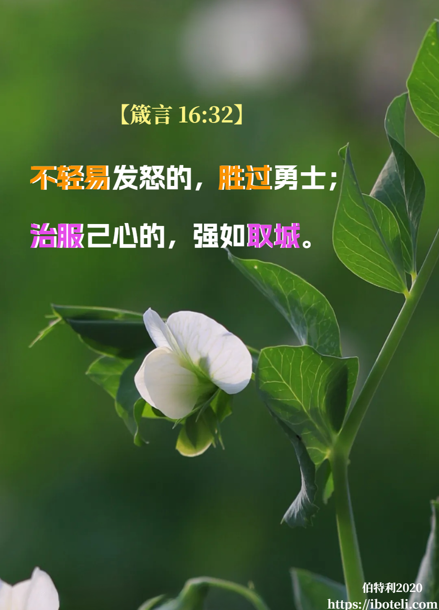 领会天父的心意（03）治服己心
