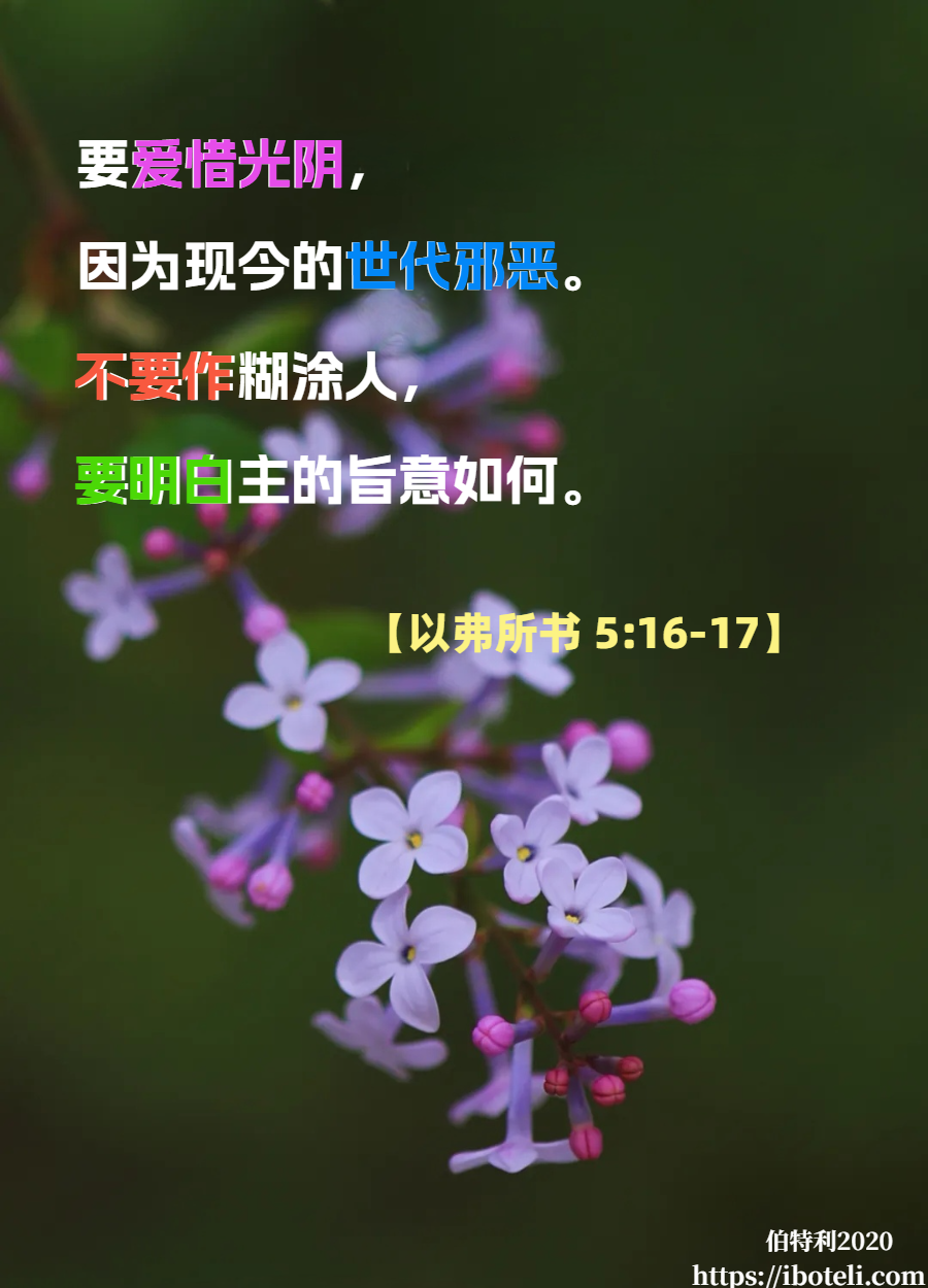 领会天父的心意（04）赎回光阴