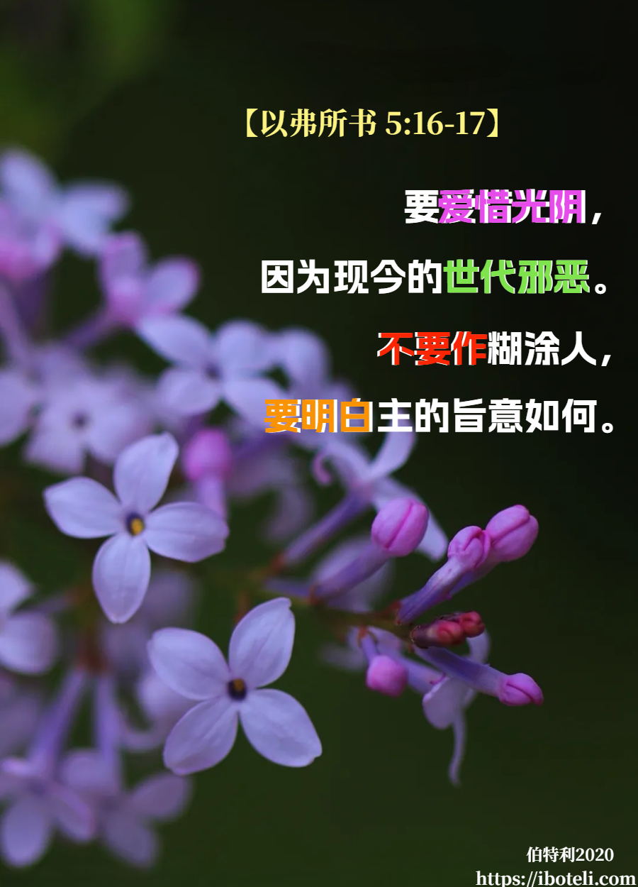 领会天父的心意（04）赎回光阴