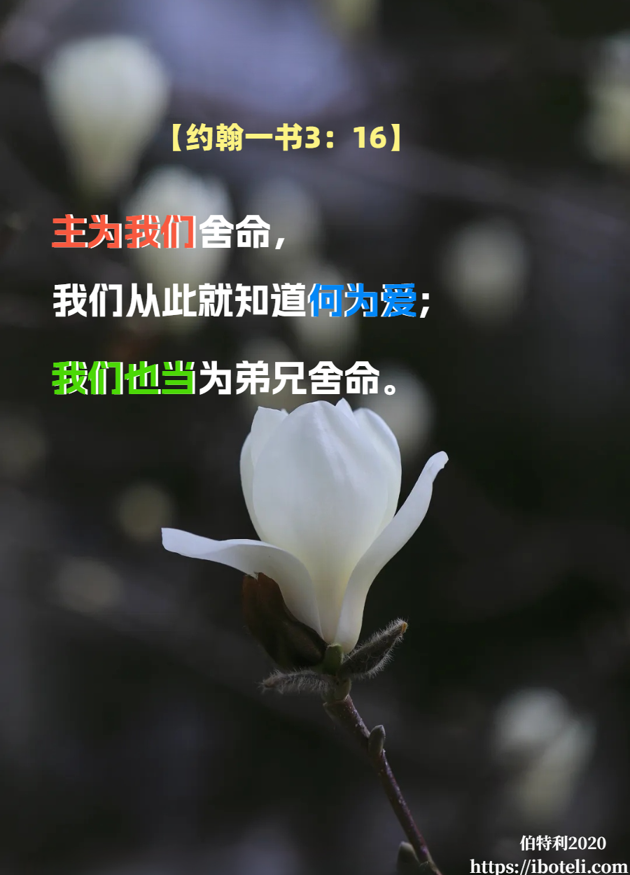 领会天父的心意（05）切实相爱