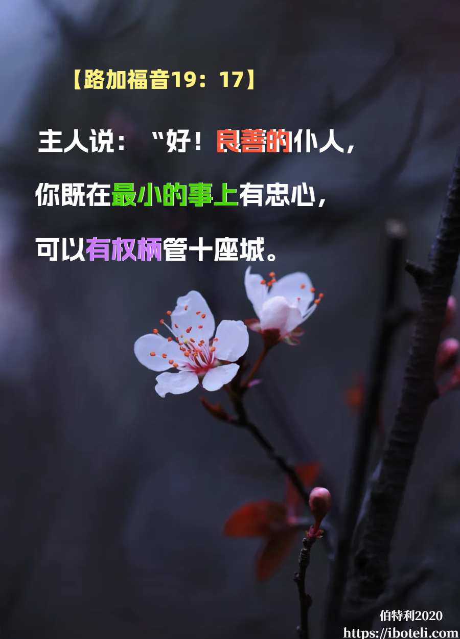 领会天父的心意（08）忠心