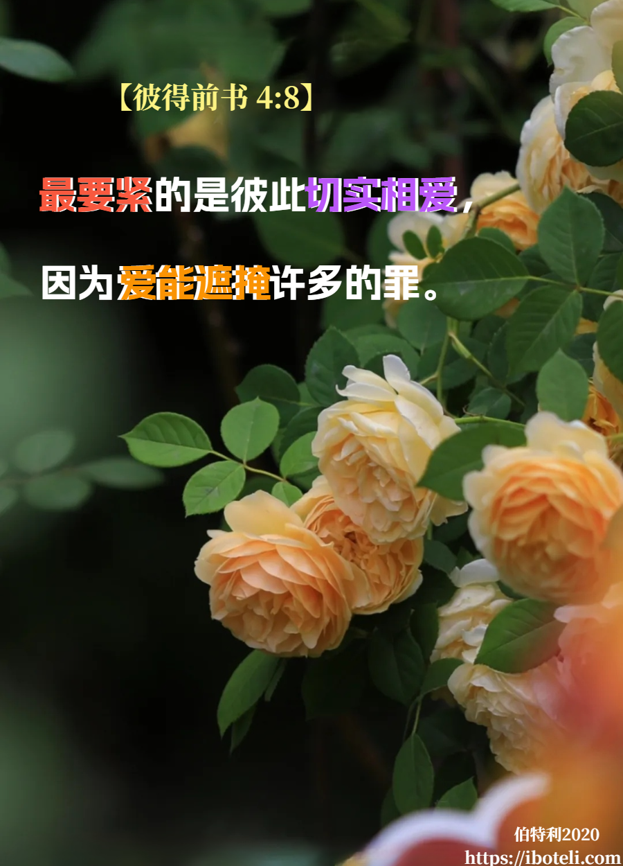 领会天父的心意（12）接纳就是爱