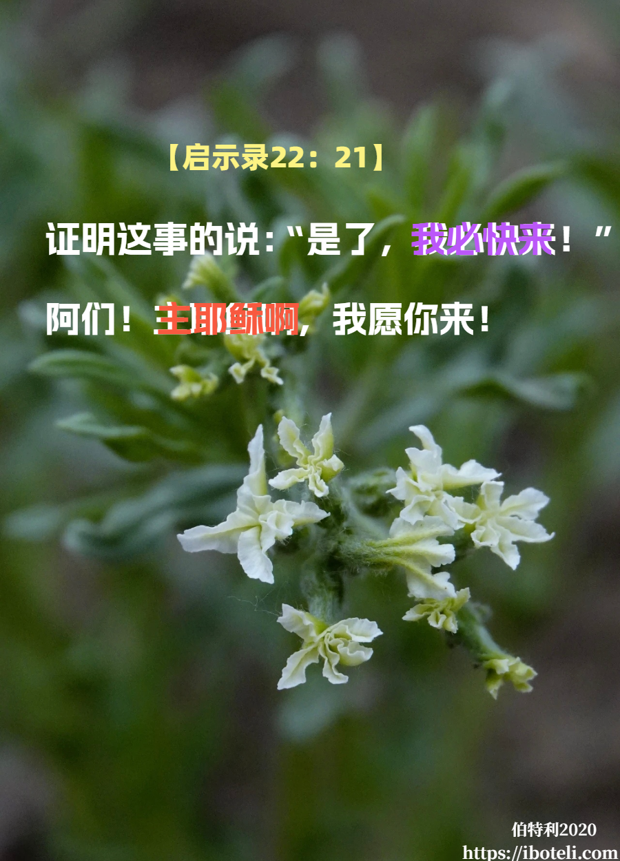 领会天父的心意（17）谨慎自守