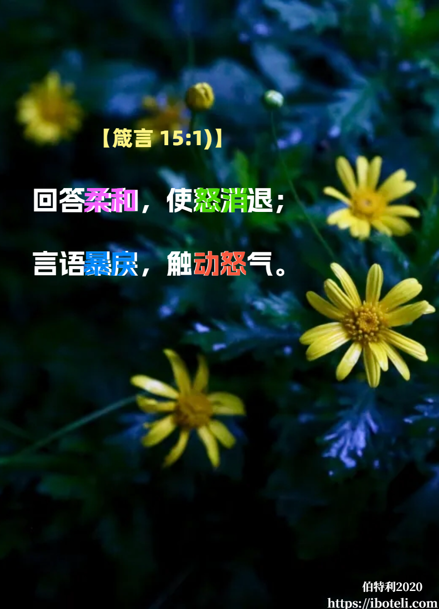领会天父的心意（18）彼此相爱