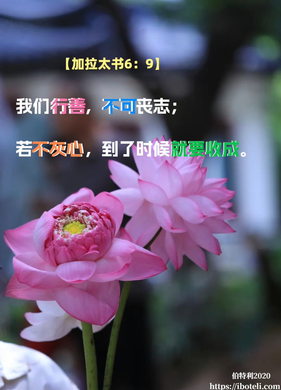 领会天父的心意（19）攻破营垒