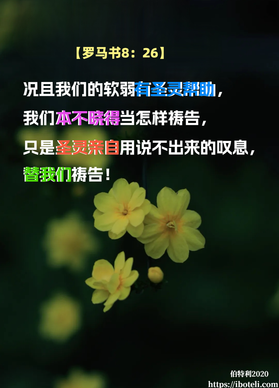 领会天父的心意（20）警醒祷告