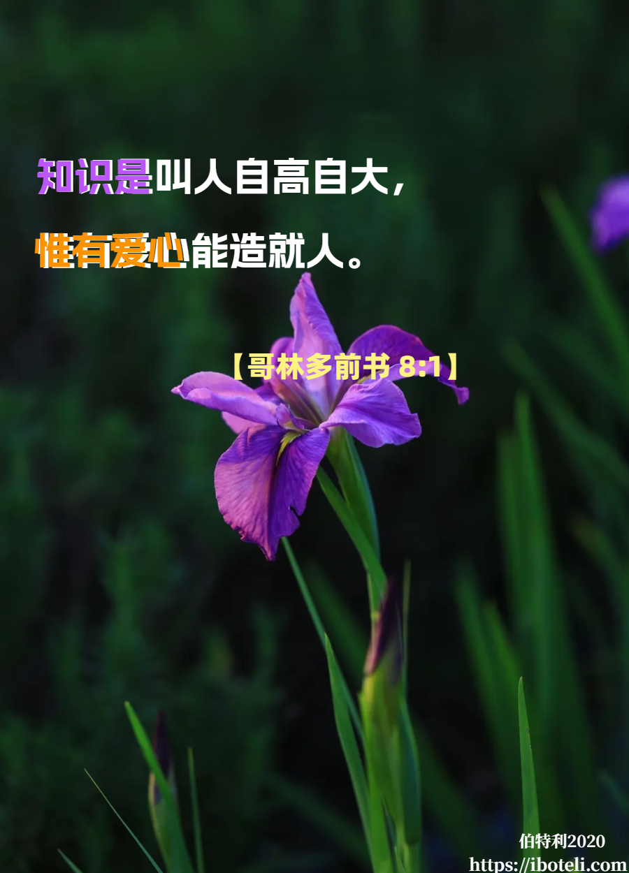 领会天父的心意（21）体谅就是爱