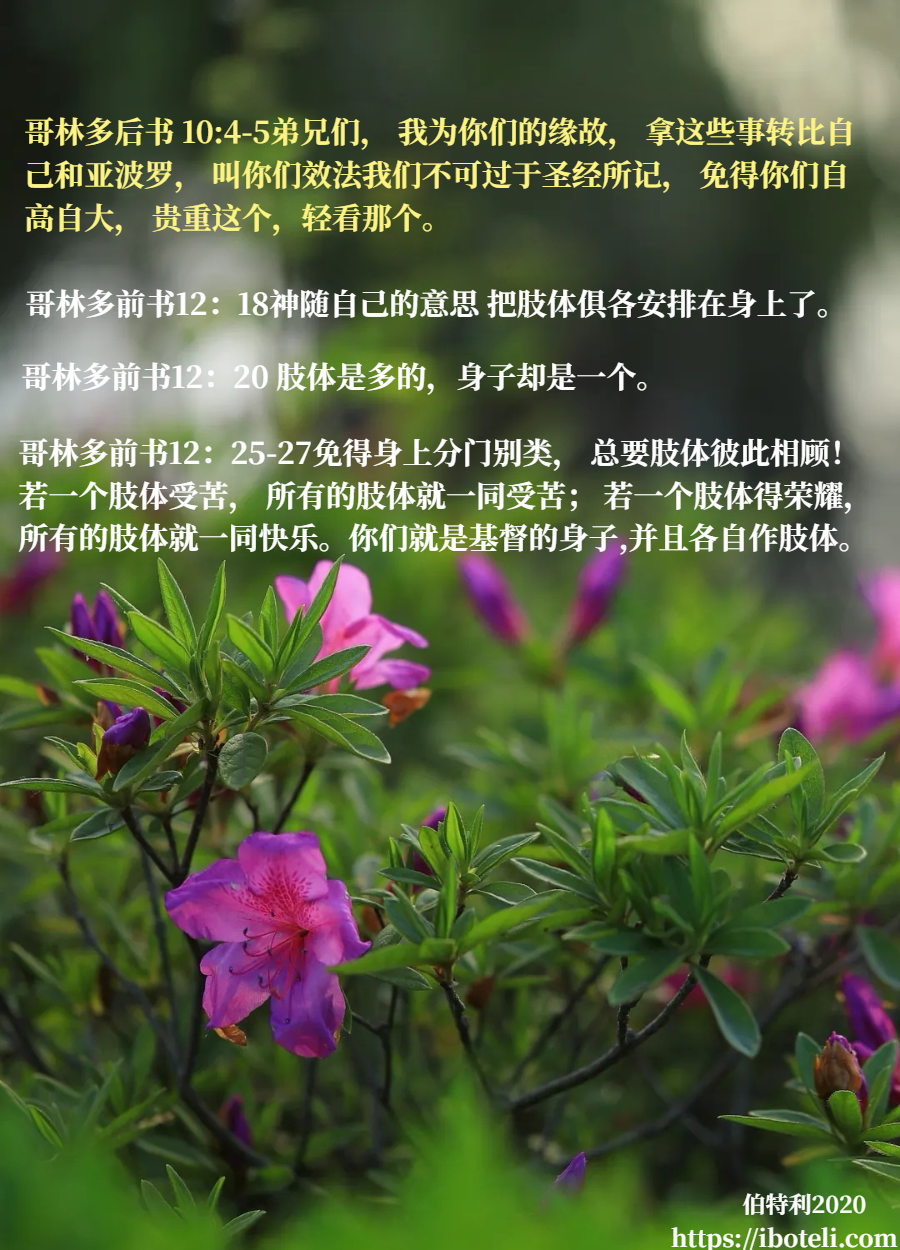 领会天父的心意（23） 每个肢体都重要