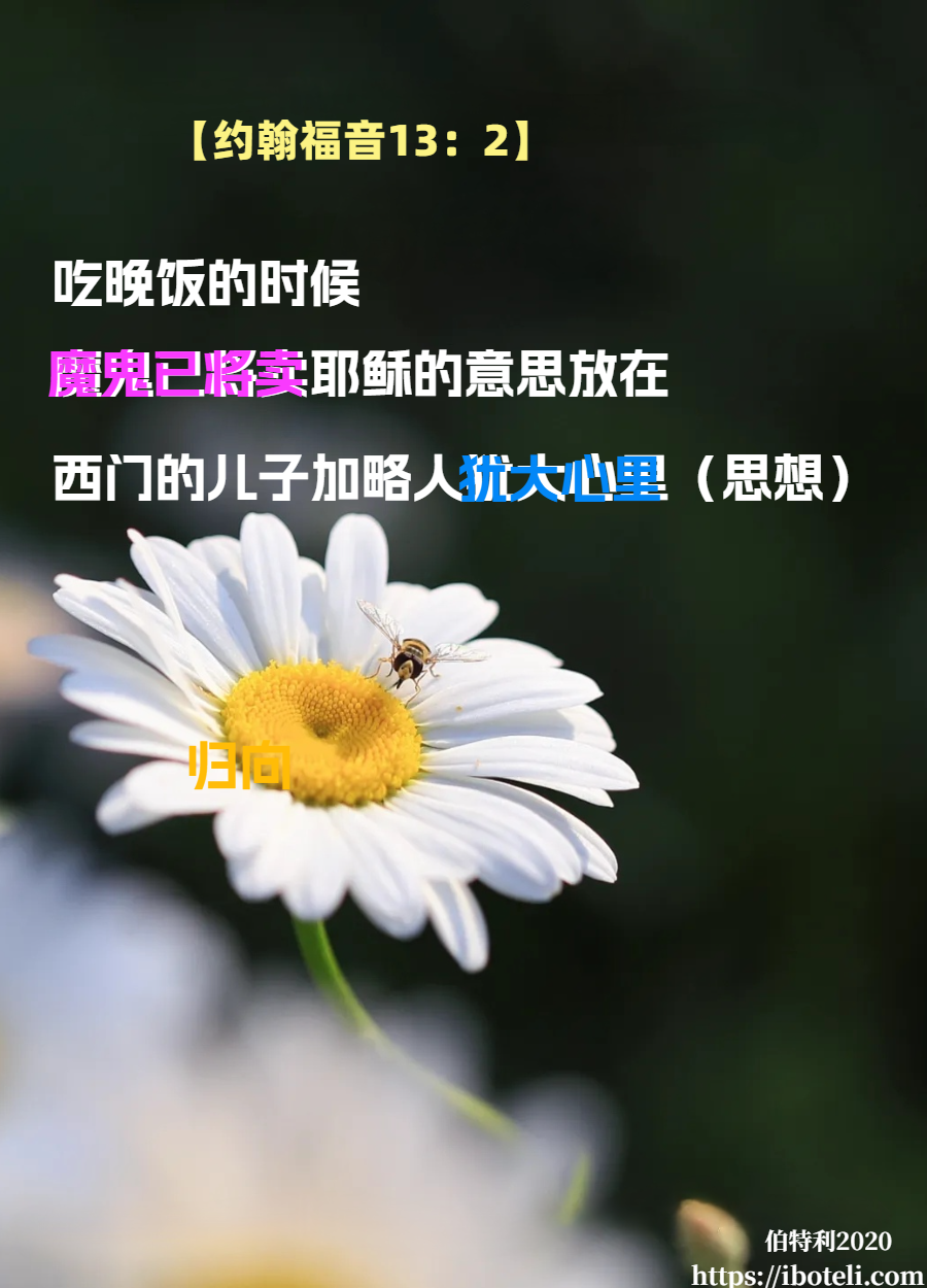 领会天父的心意（26）信仰问答～被不好的思想搅扰了怎么办？