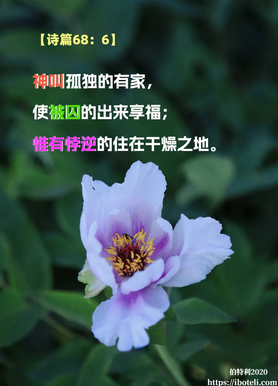领会天父的心意（28） 规规矩矩按次序行