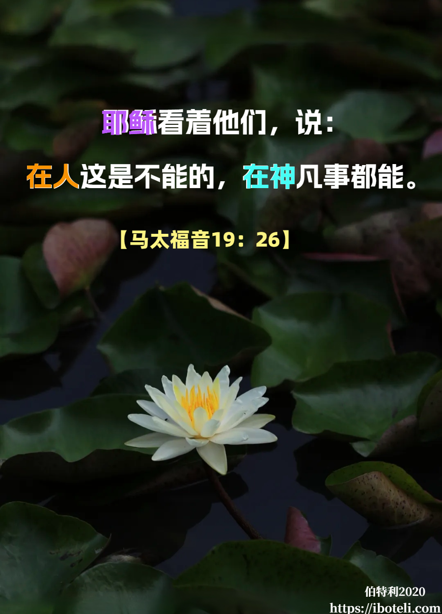 领会天父的心意（36）主你有办法