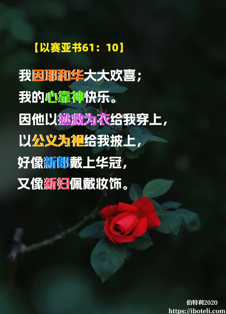 领会天父的心意（37）饶恕