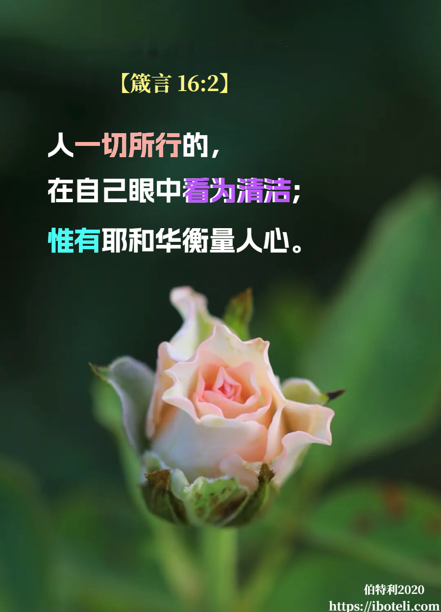 领会天父的心意（38）弃绝自义