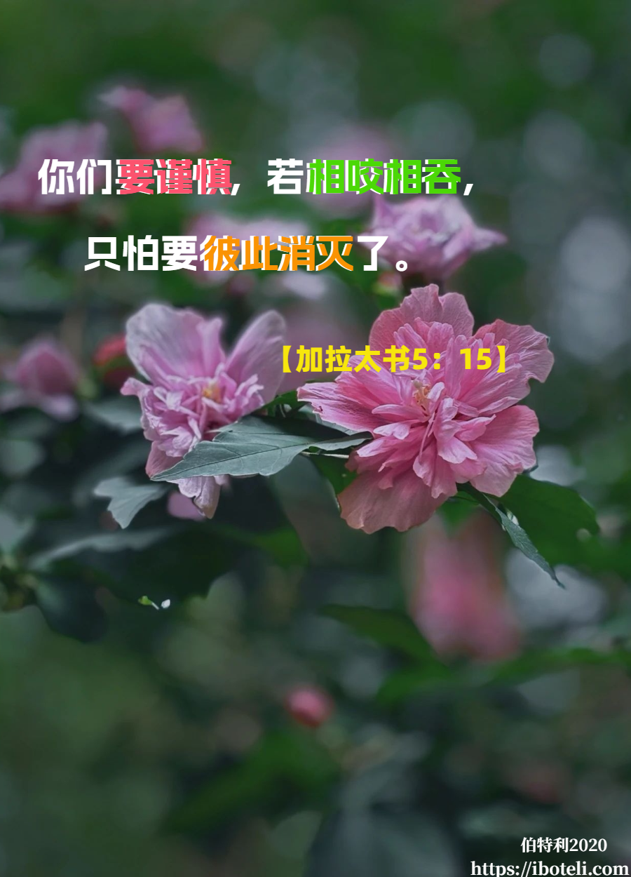 领会天父的心意（38）弃绝自义