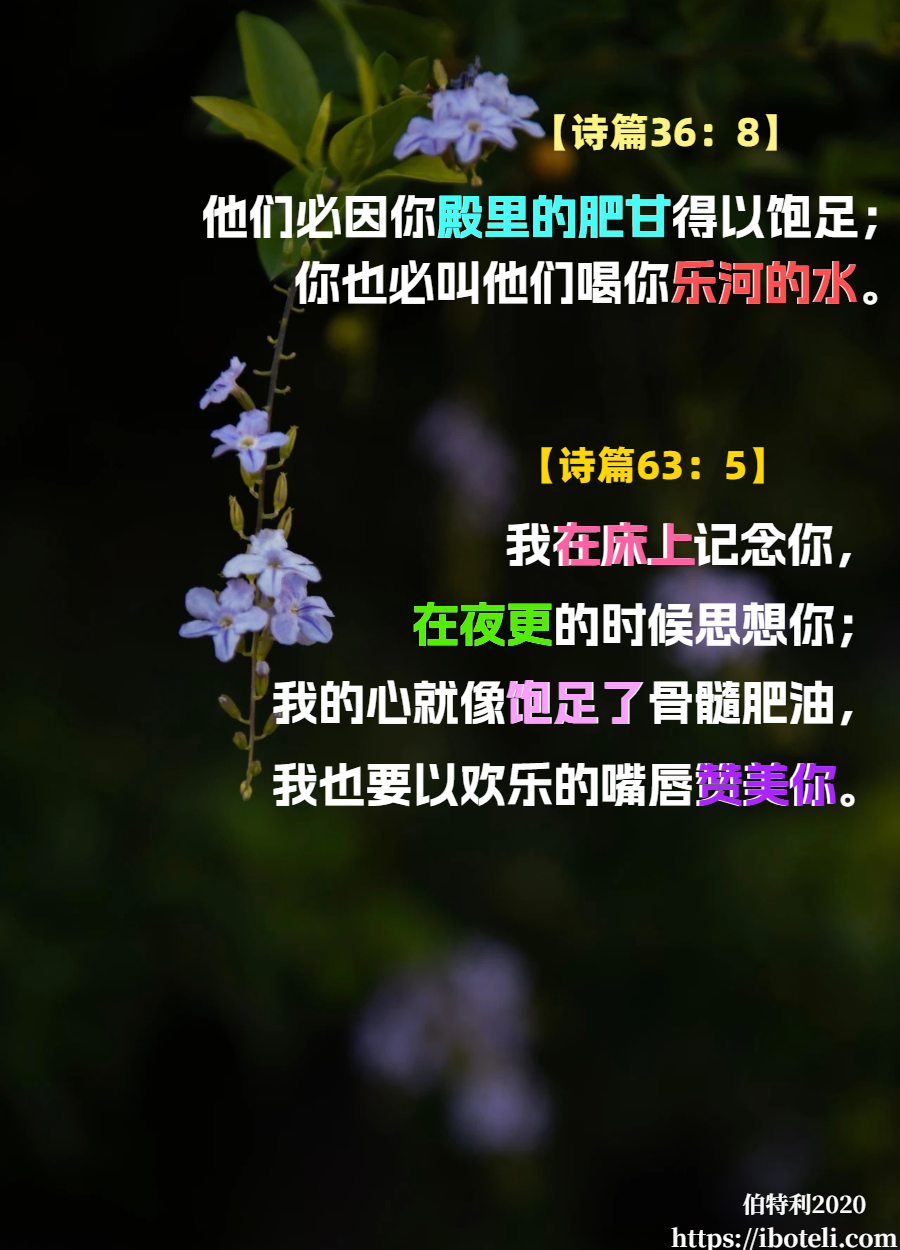 领会天父的心意（39）一口活水井