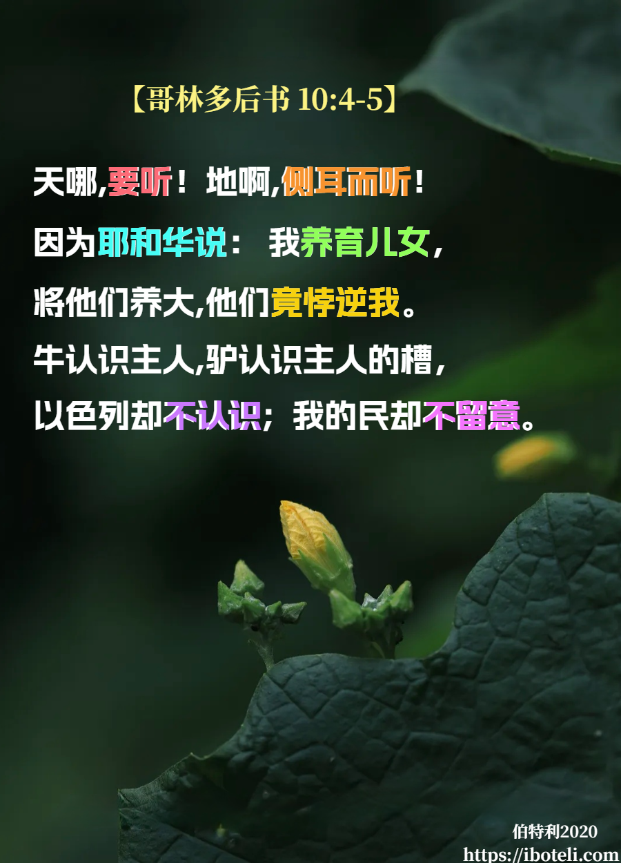 领会天父的心意（40）神的无奈