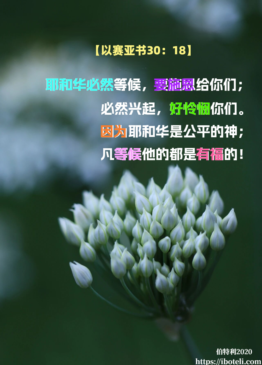 领会天父的心意（40）神的无奈