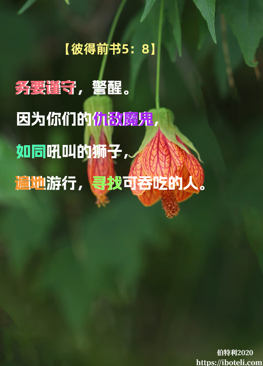 领会天父的心意（42）务要谨慎