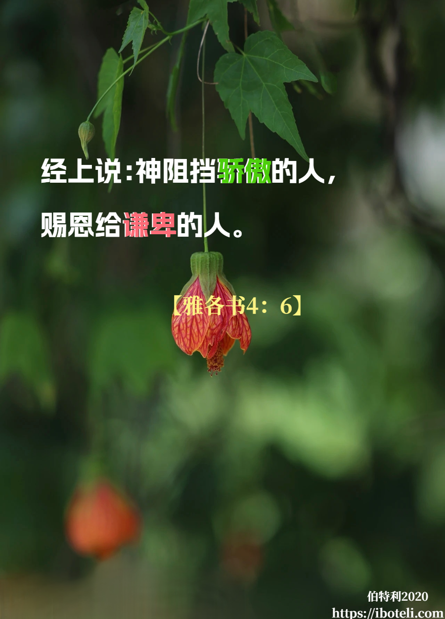 领会天父的心意（42）务要谨慎