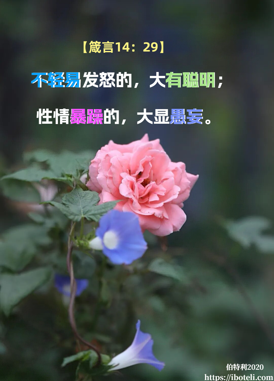 领会天父的心意（44）止住怒气