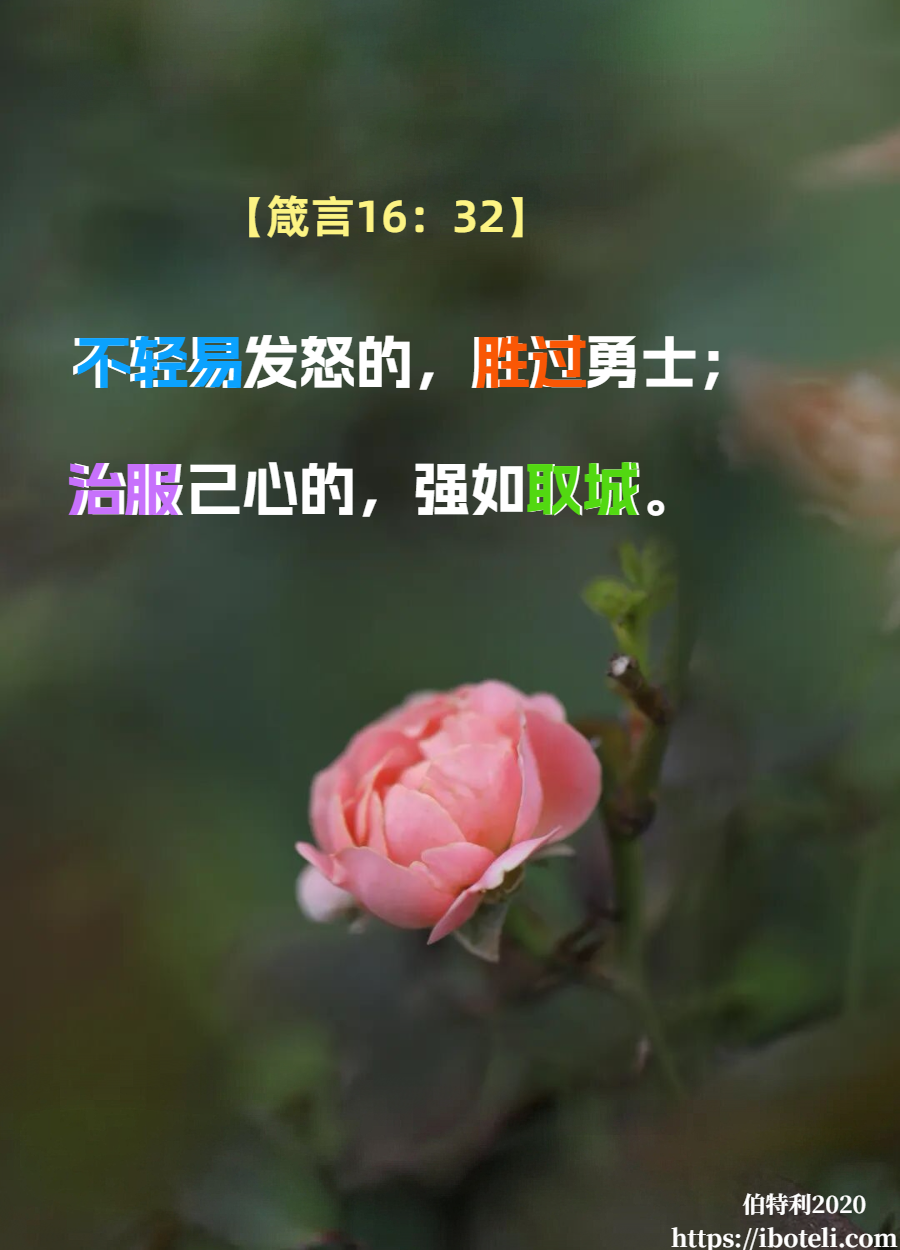 领会天父的心意（44）止住怒气