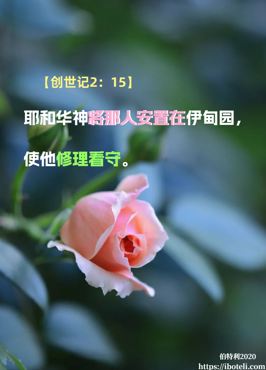 领会天父的心意（49）信仰需要平衡