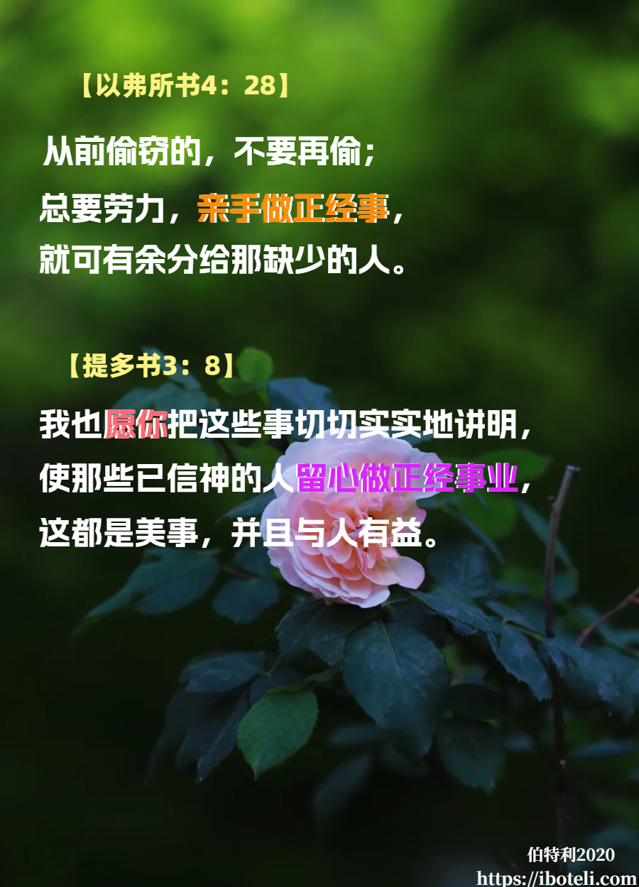 领会天父的心意（49）信仰需要平衡