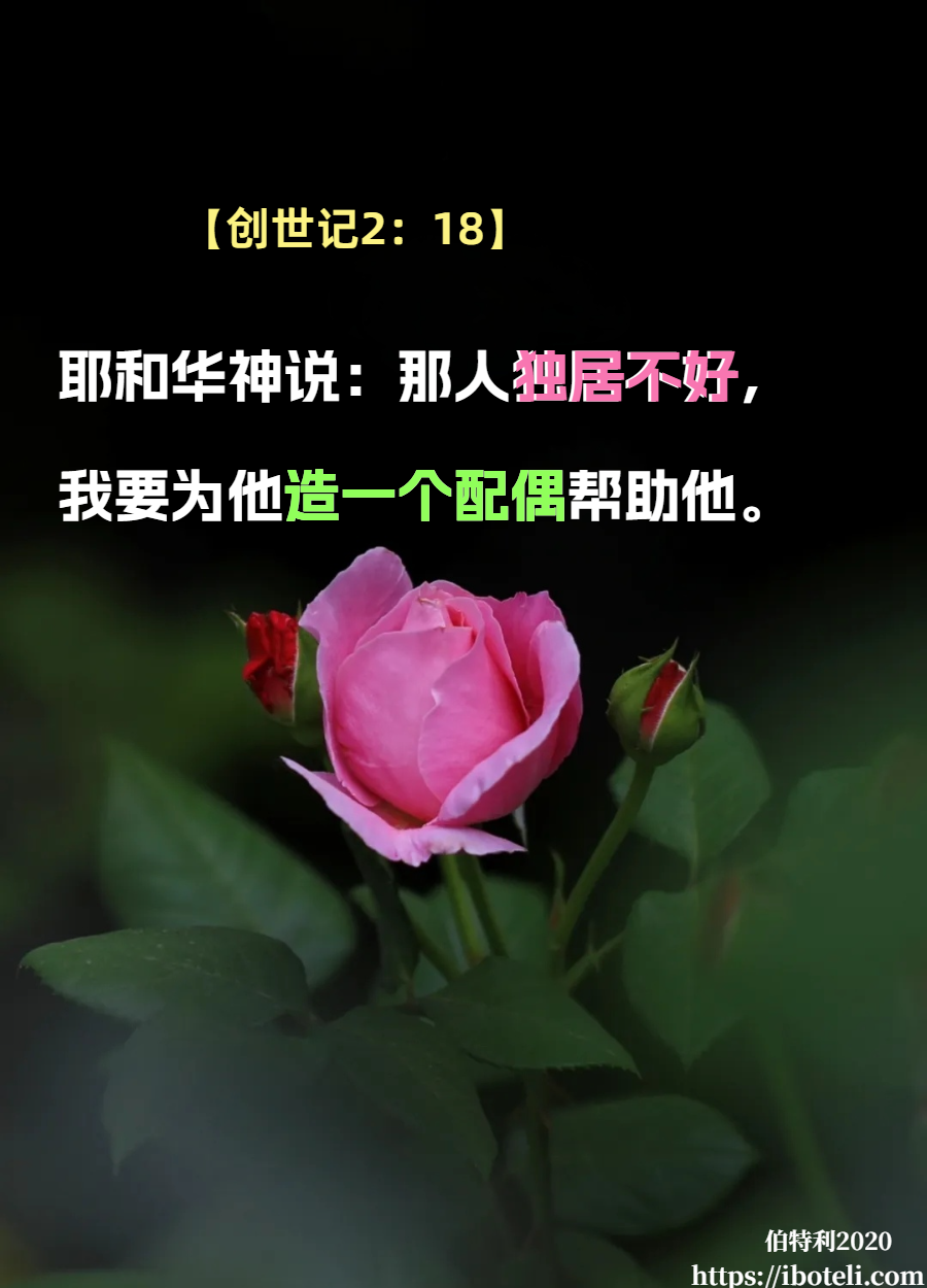 领会天父的心意（50）了解婚姻