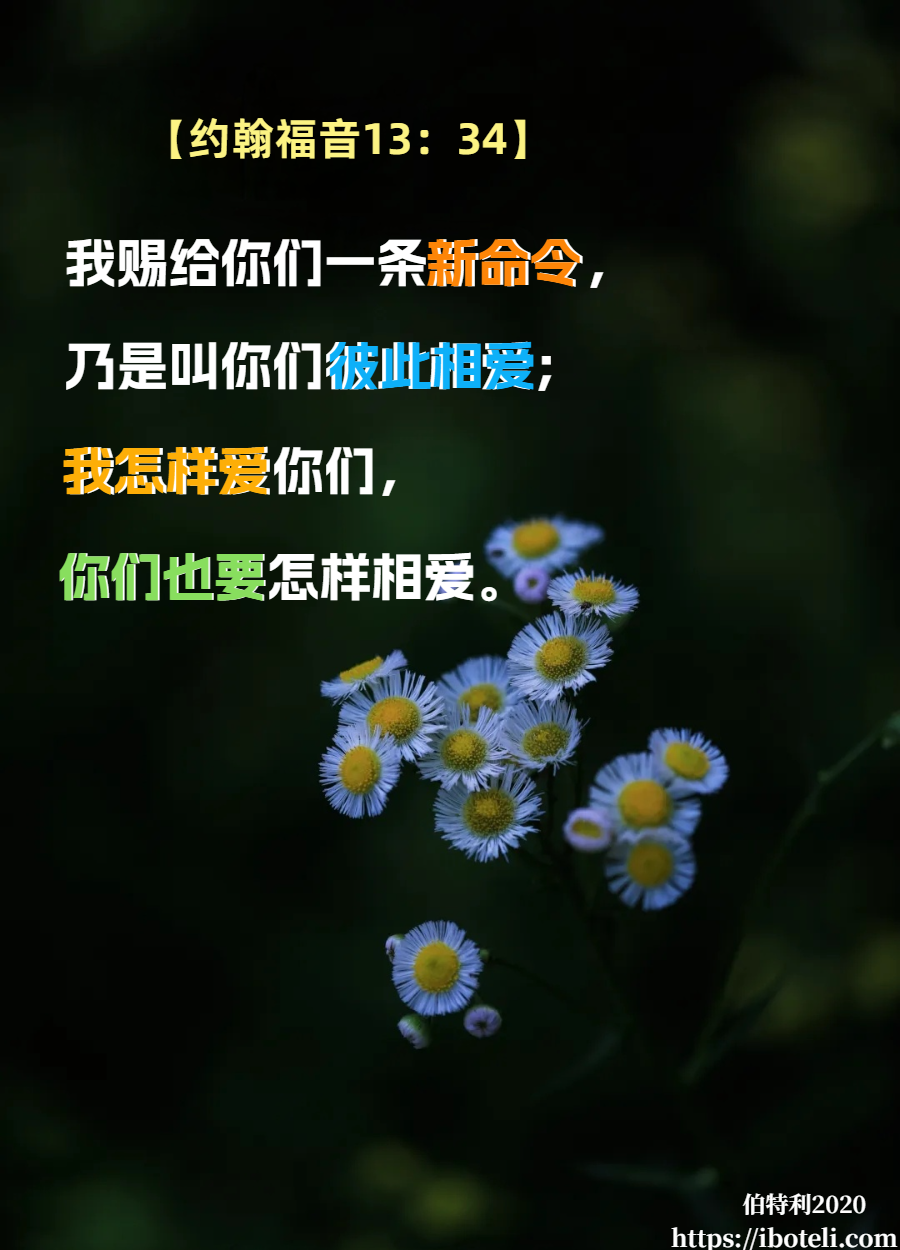 领会天父的心意（51）何为爱