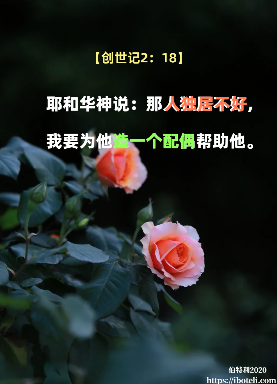 领会天父的心意（52）为婚姻祷告
