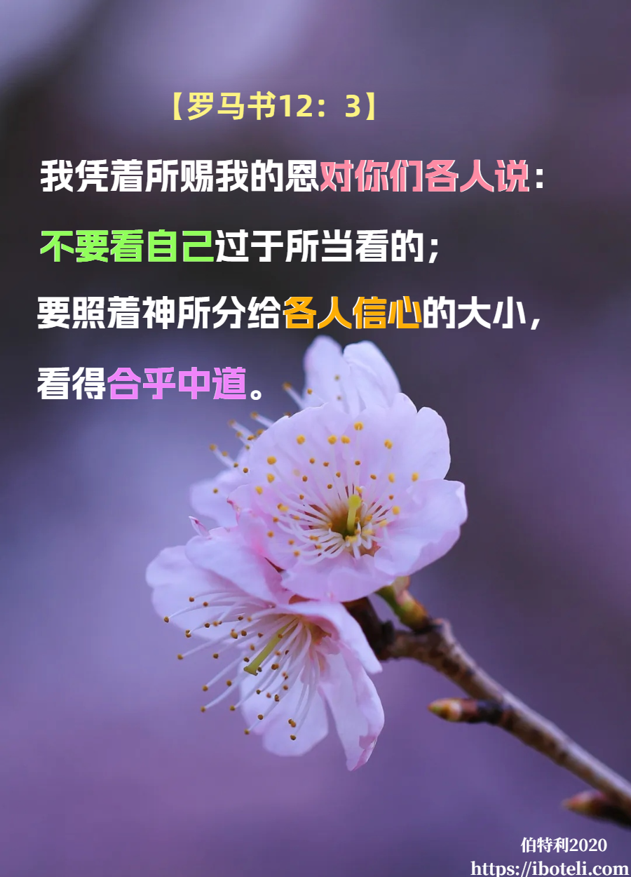领会天父的心意（58）合乎中道