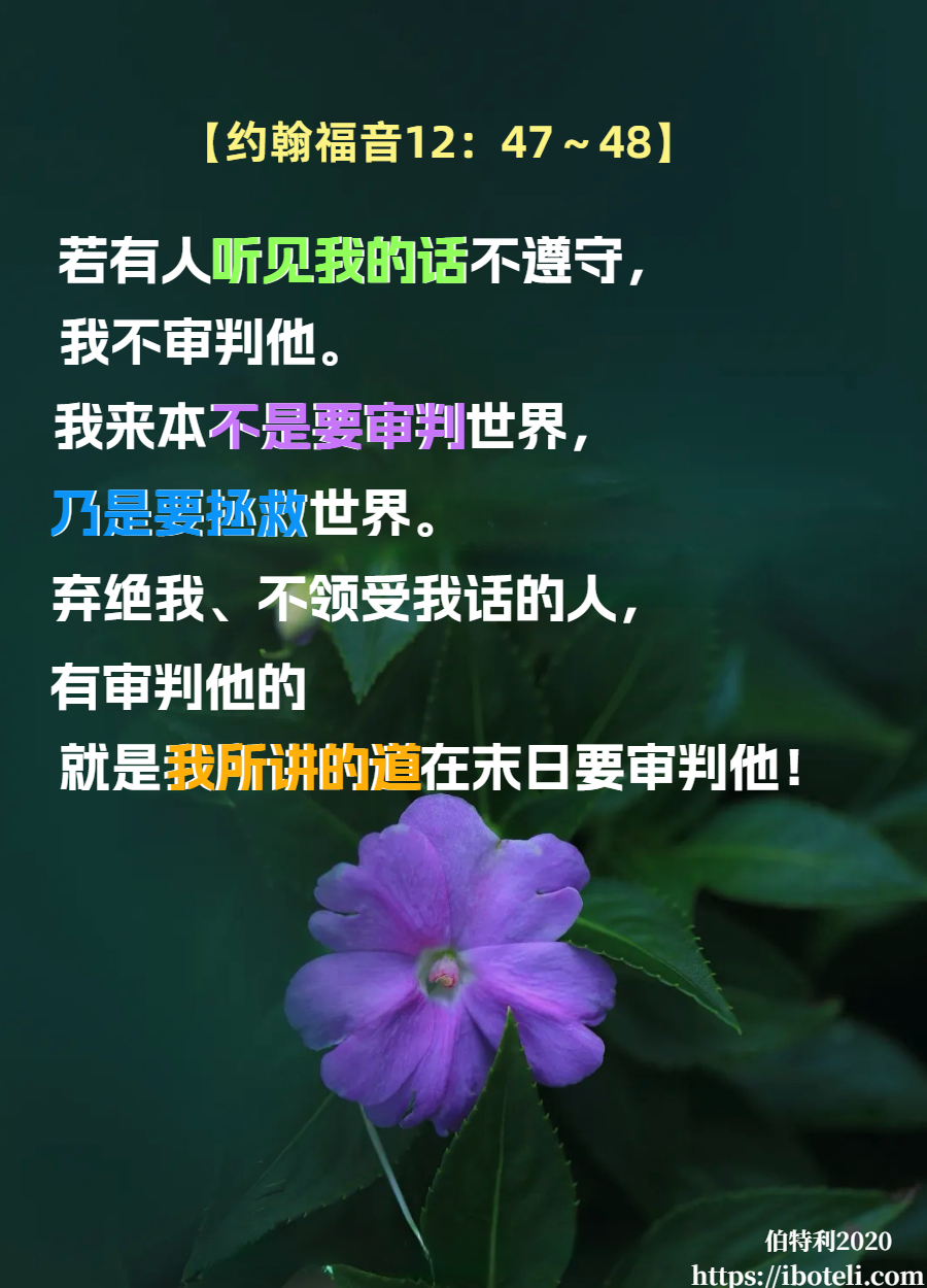 领会天父的心意（59）道的审判
