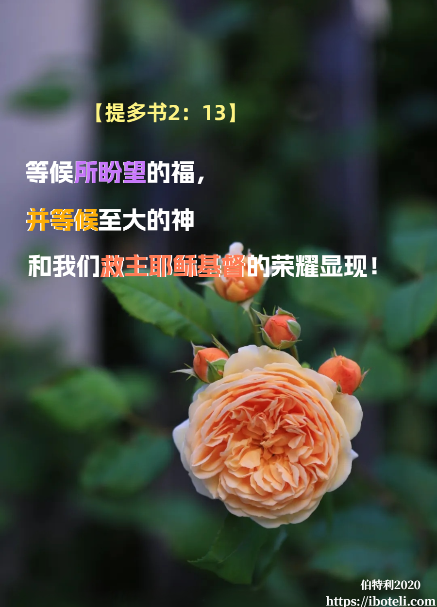 领会天父的心意（60）遵守忍耐的道