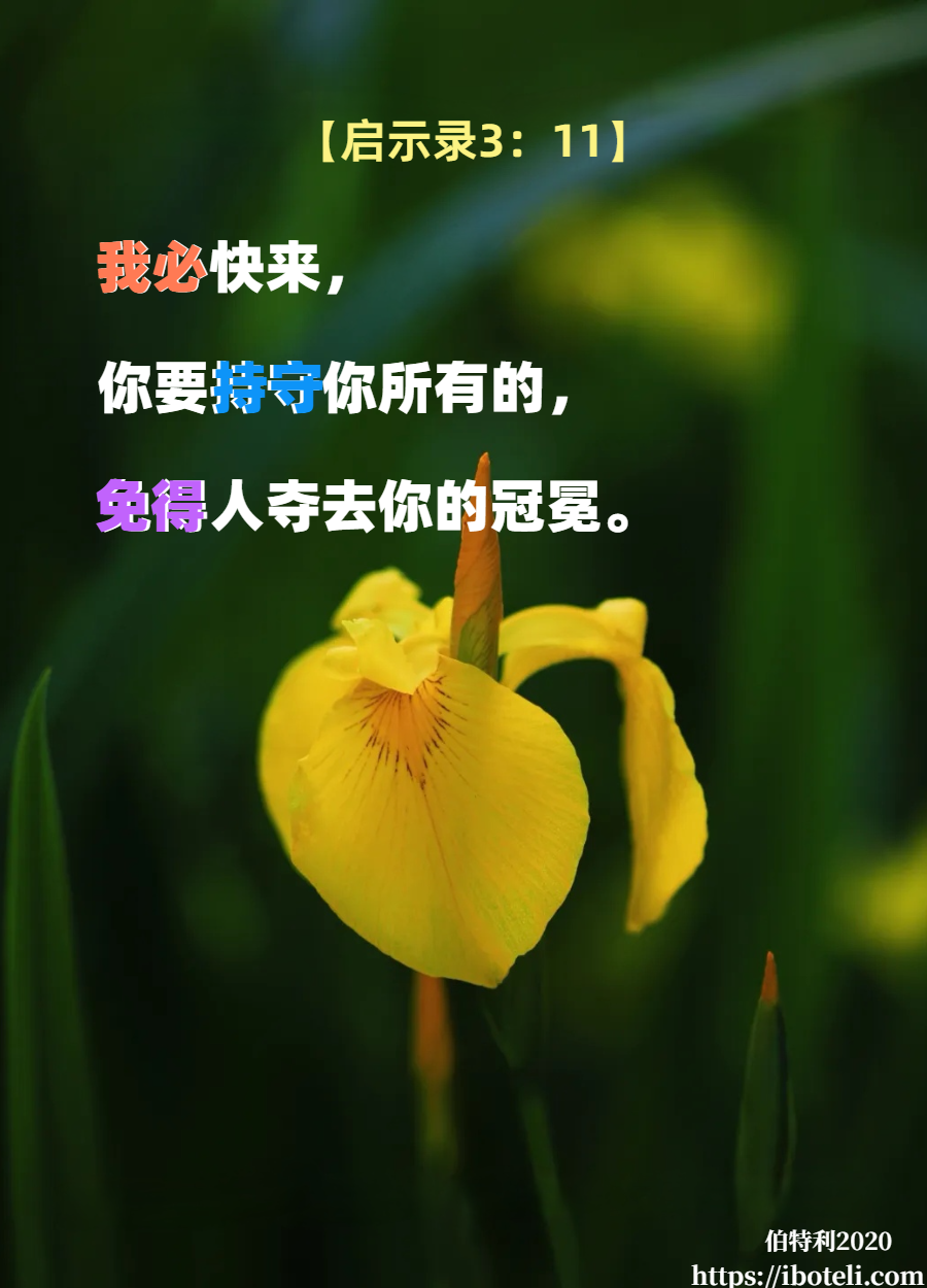 领会天父的心意（61）持守你所有的