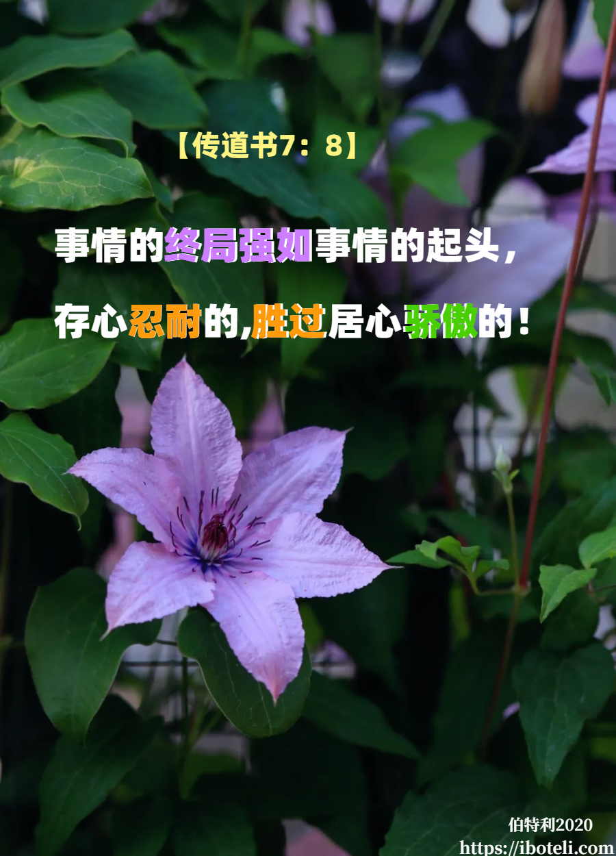 领会天父的心意（62）耐心好重要