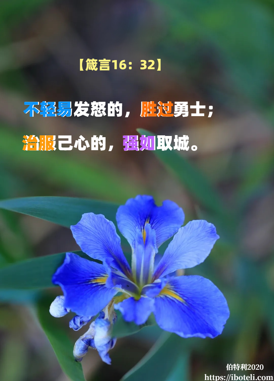 领会天父的心意（62）耐心好重要