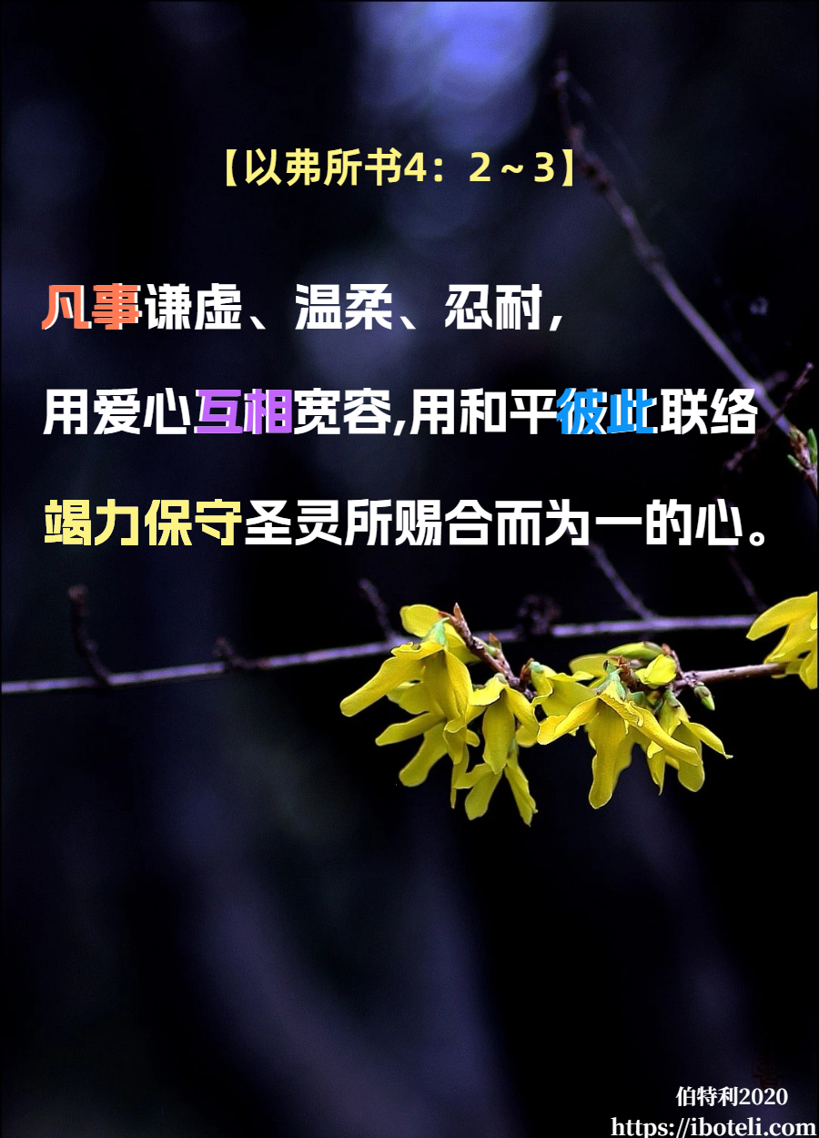 领会天父的心意（63）尊重