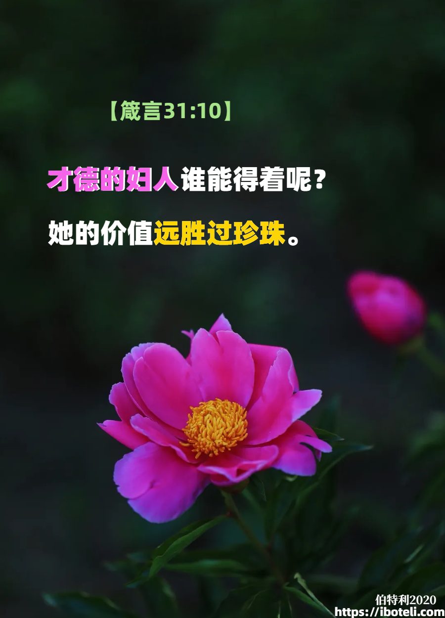 领会天父的心意（101）顺服创造次序