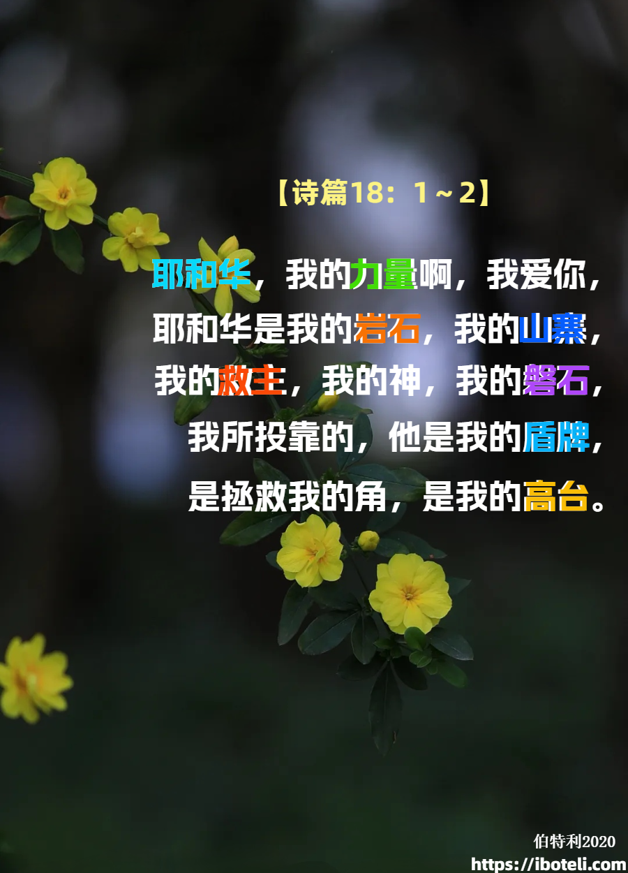 领会天父的心意（96）信仰感言