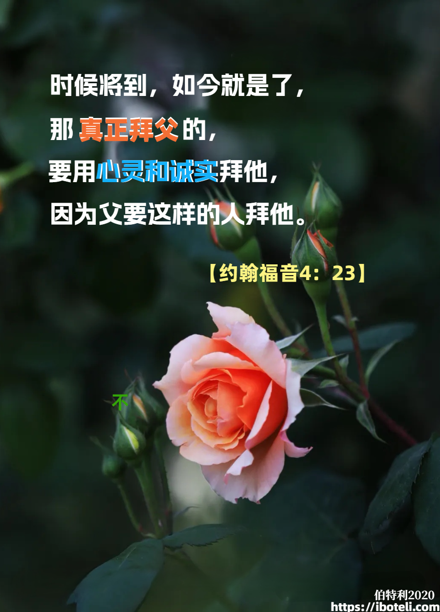 领会天父的心意（104）依靠圣灵与学习圣经话语的平衡