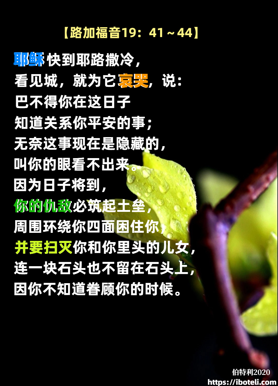 领会天父的心意（105）耶稣哭了
