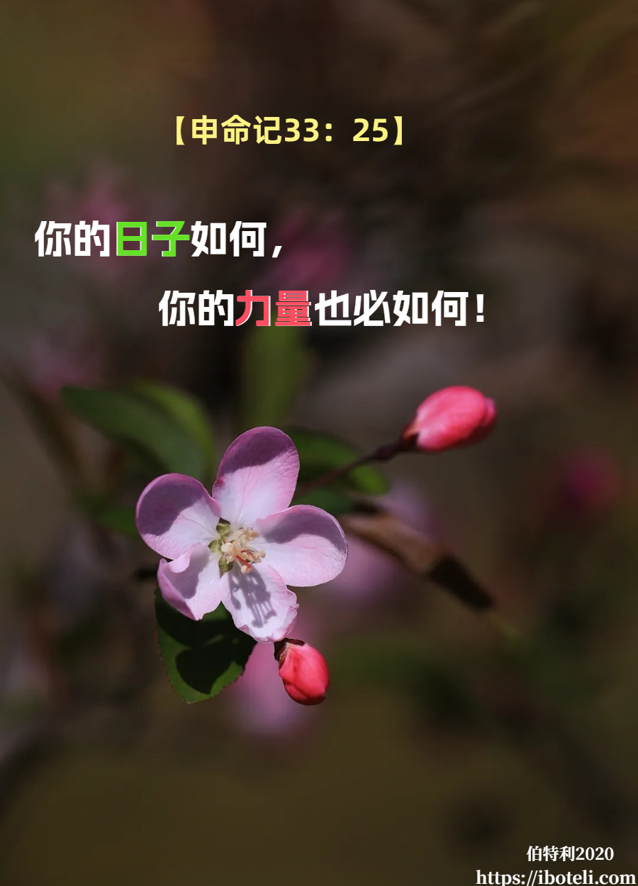 领会天父的心意（106）恩典够用