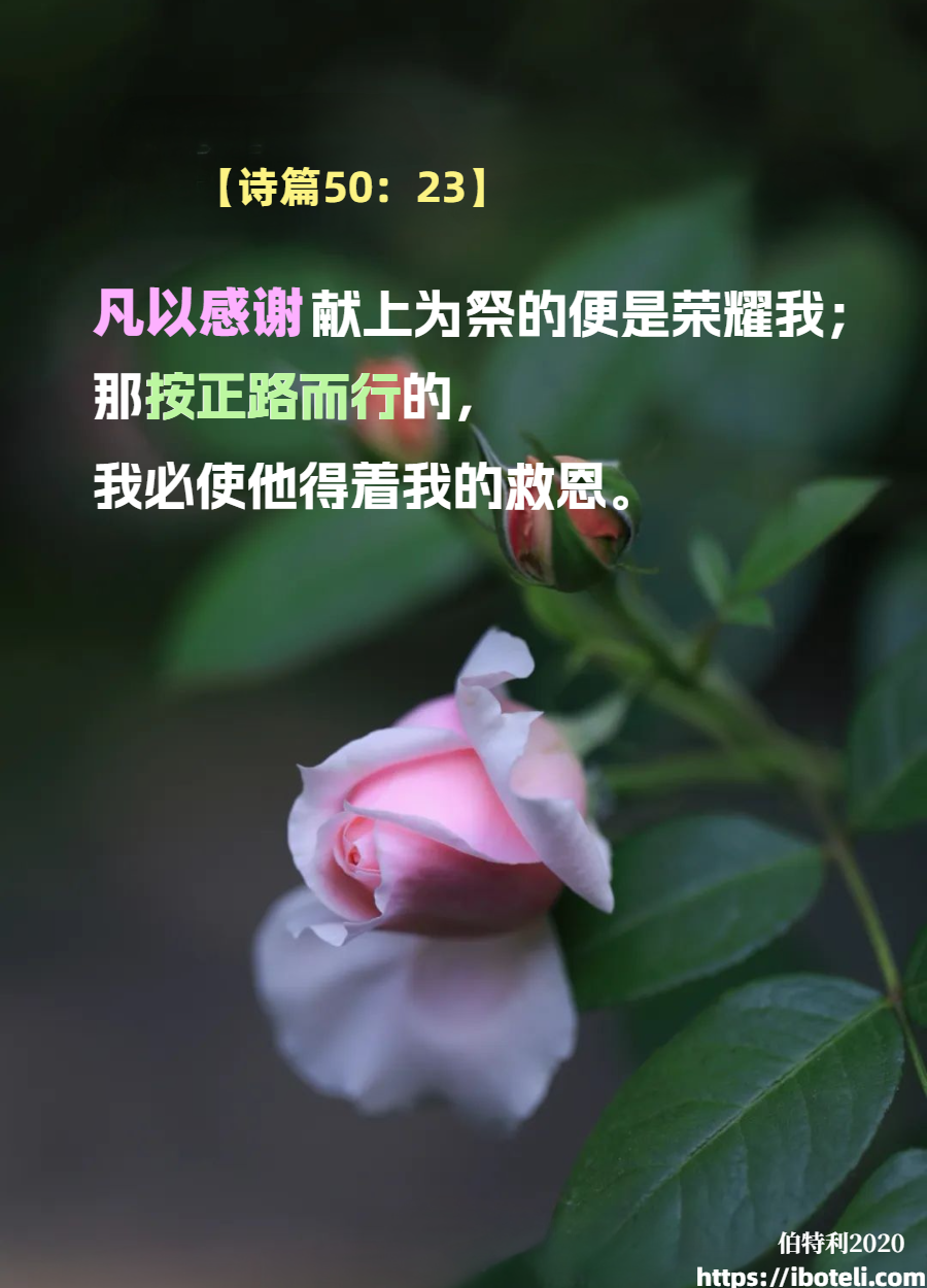 领会天父的心意（110）感谢神就是荣耀神