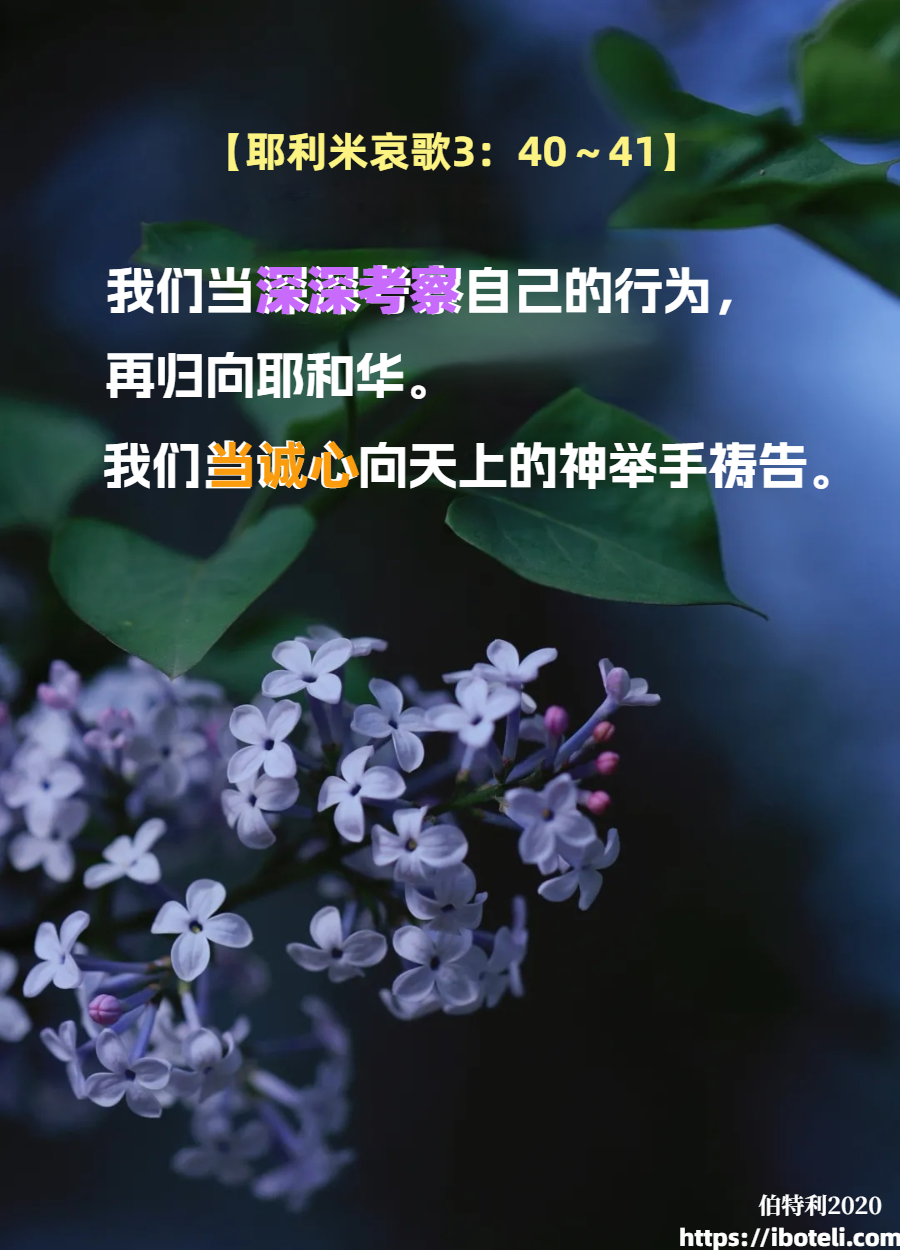 领会天父的心意（111）考察行为