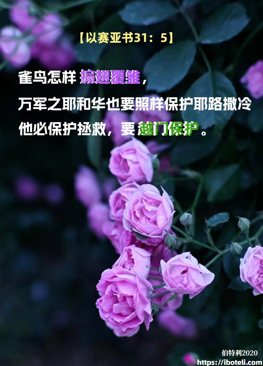 领会天父的心意（112）爱的呵护
