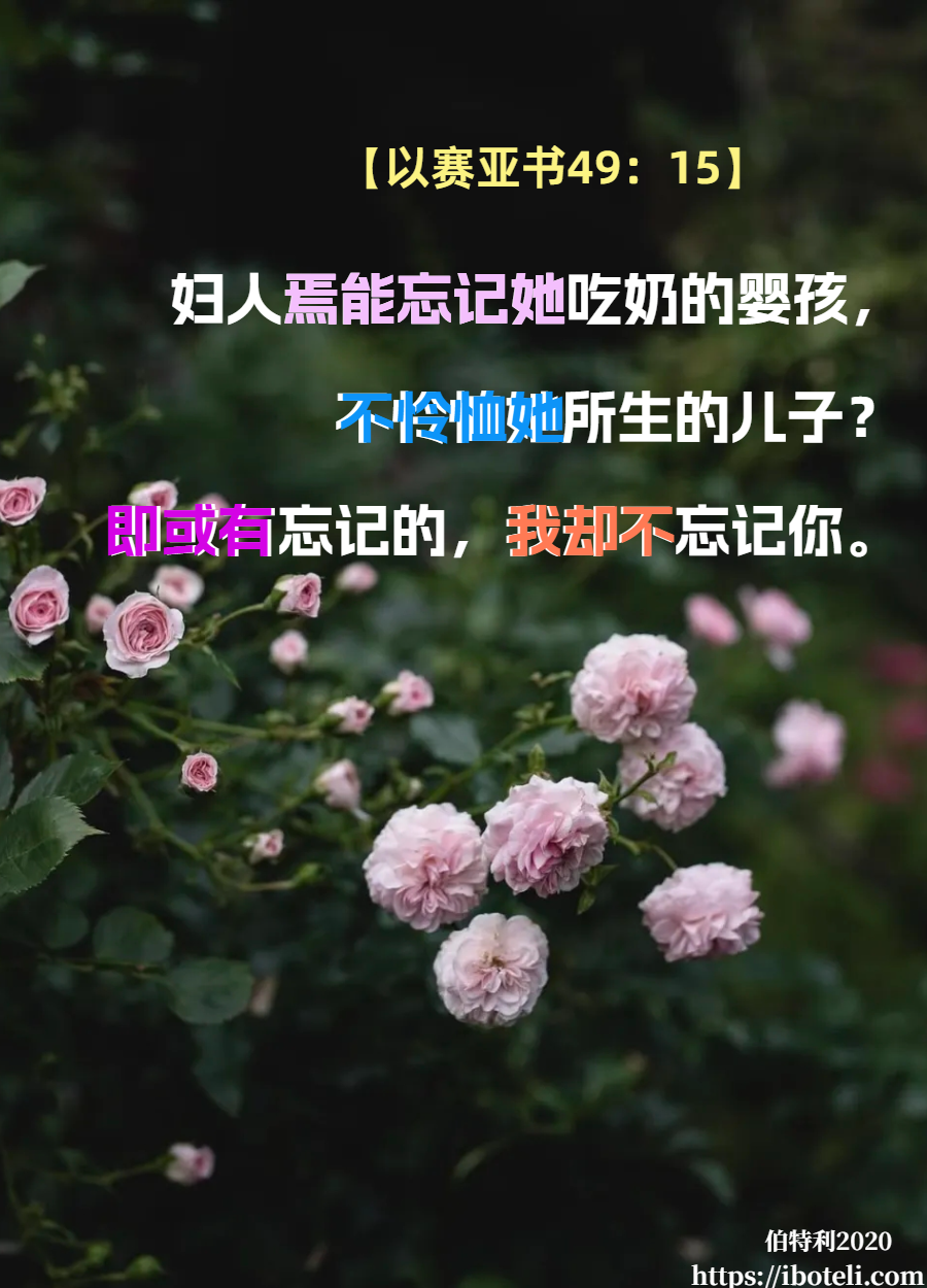 领会天父的心意（112）爱的呵护