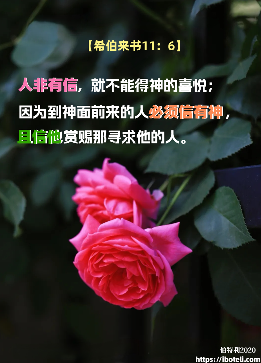 领会天父的心意（113）信任神