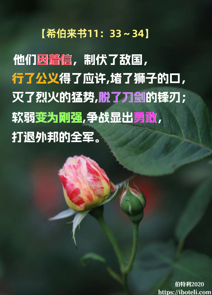 领会天父的心意（113）信任神